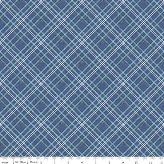 Plaid Blue Riley Blake Wide back